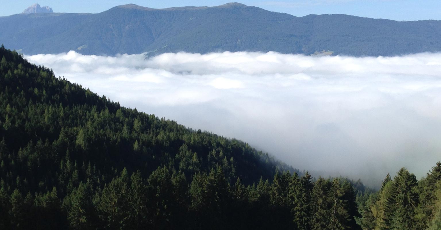 Urlaub auf dem Bauernhof