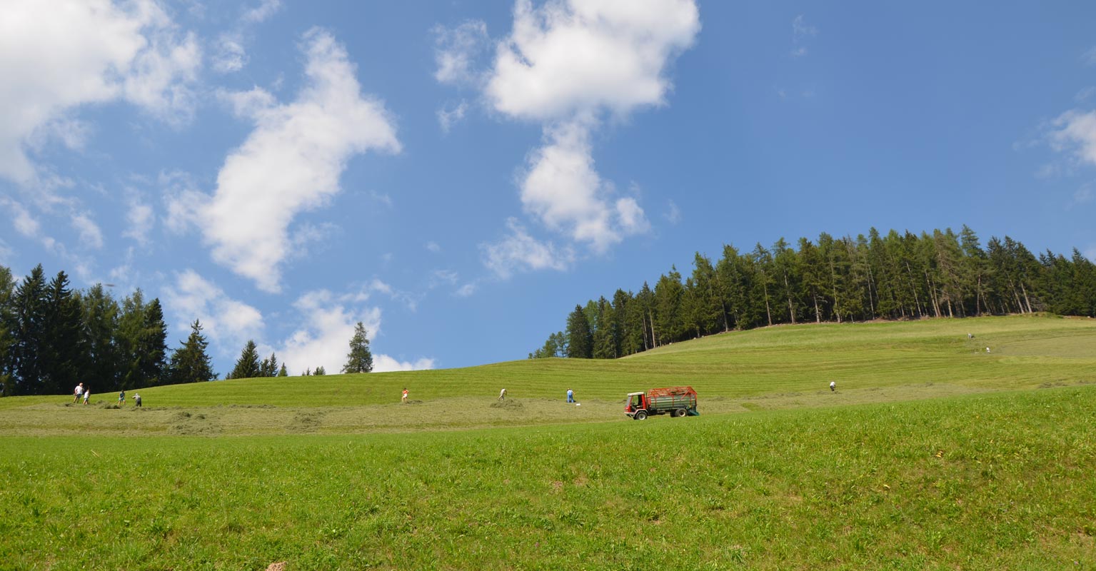 Urlaub auf dem Bauernhof