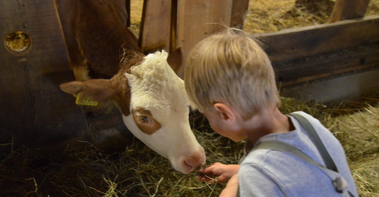 Urlaub auf dem Bauernhof