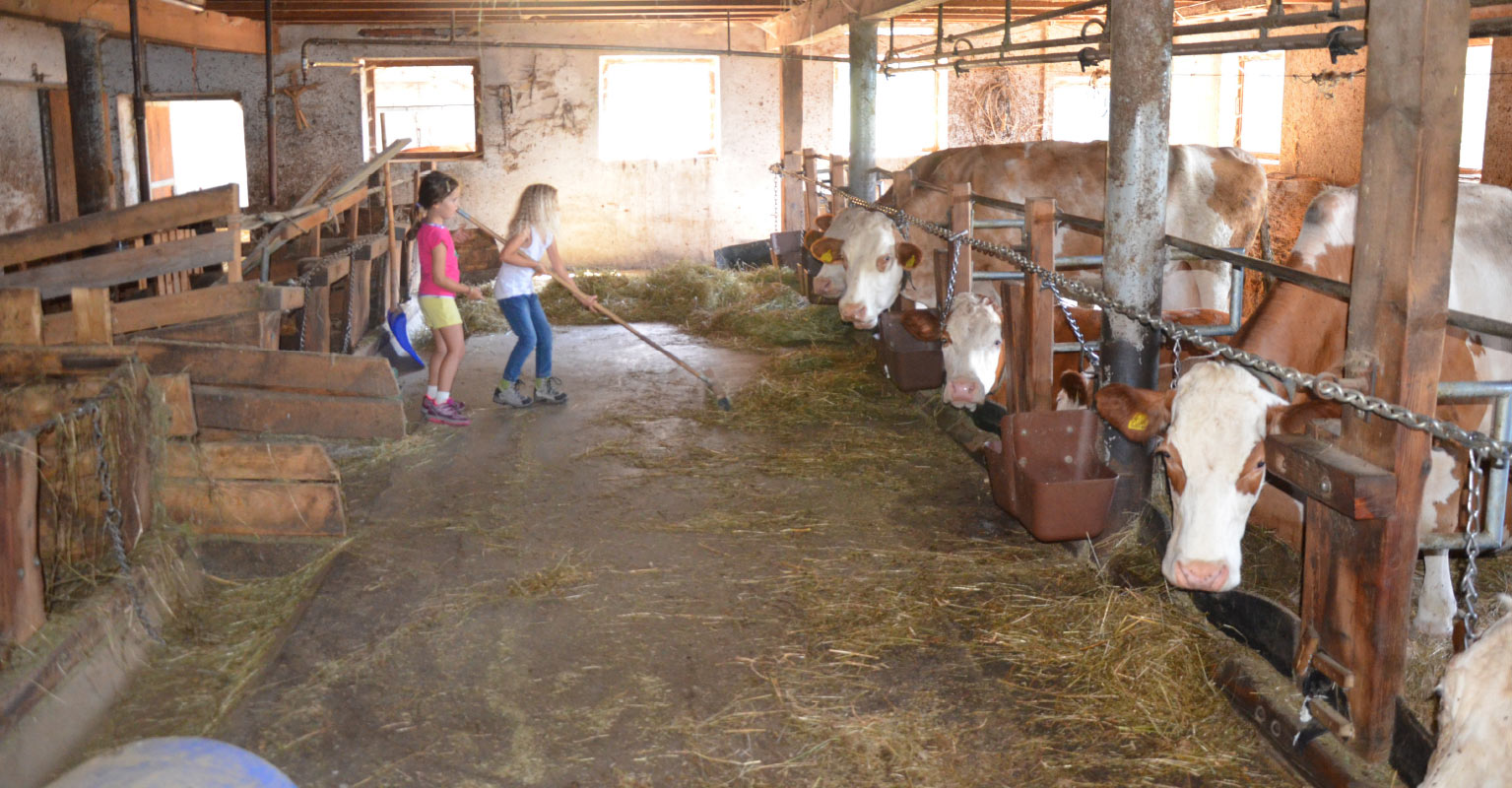Urlaub auf dem Bauernhof